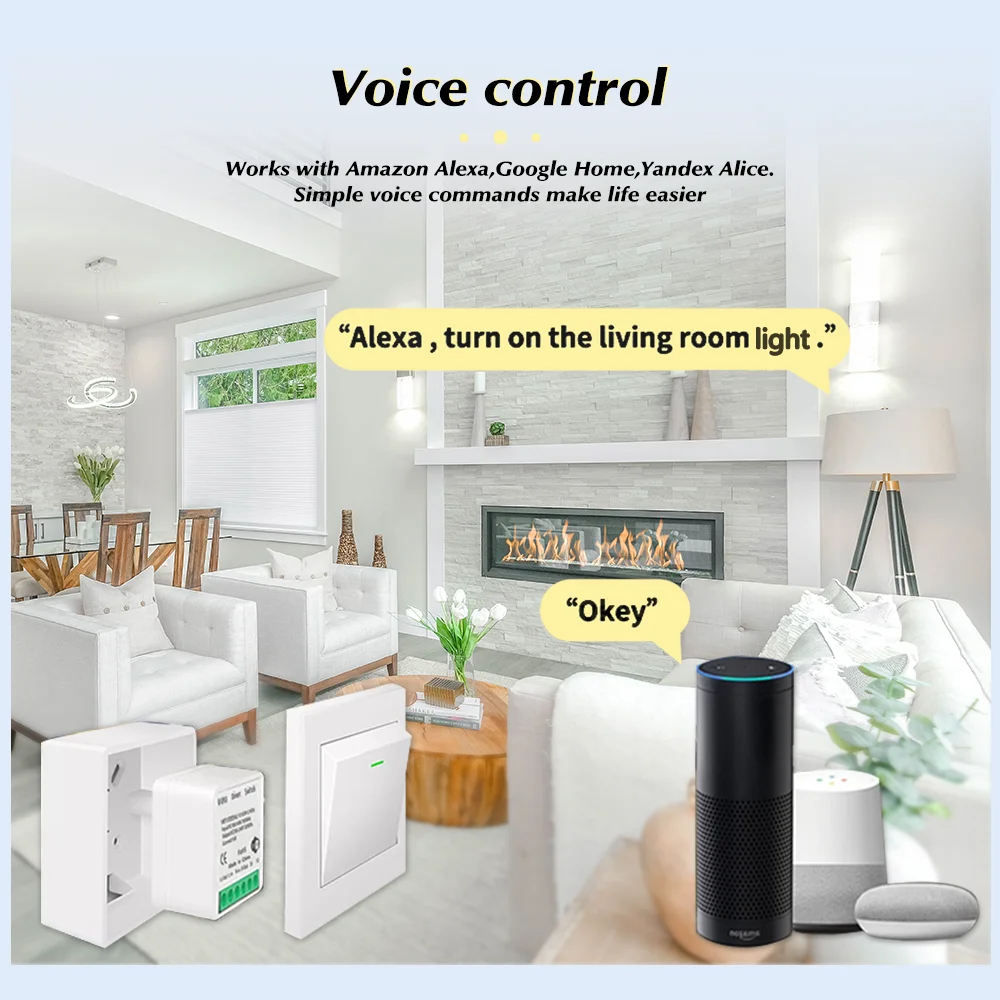 For Tuya Mini Smart WiFi Switc - Smart Home Automation Diy 评论和价格